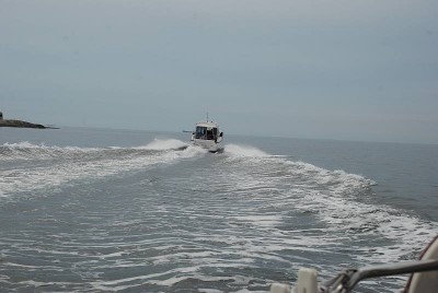 DSC_0061 3.jpg