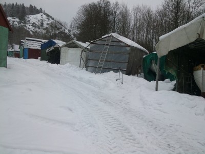Båskjulet.jpg
