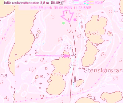 307.jpg