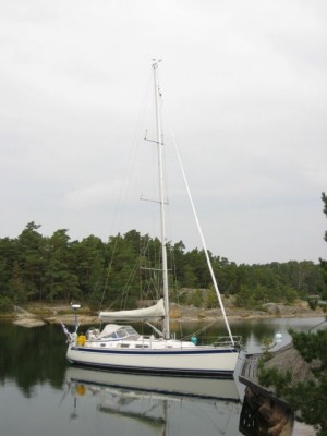 IMG_2447_2.jpg