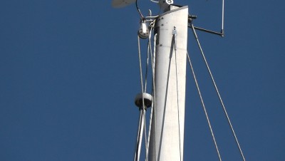 plastimo3.jpg