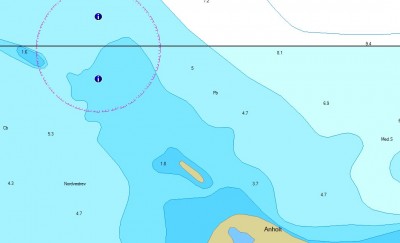 anholt.jpg