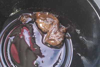 IMAG0410rez.jpg