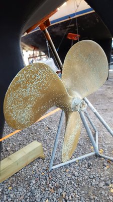20151018_123922_resized_1.jpg