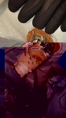 20160401_125316_resized.jpg