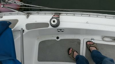 Sarg_20160617_105454_resized.jpg