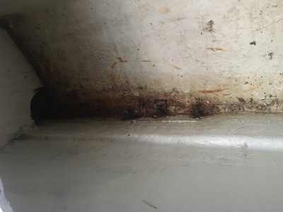 A3E118D1-43DD-4520-9F01-9786C3D23FCA.jpeg