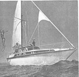 500471_5.jpg