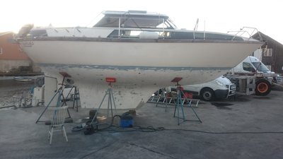 DSC_0688.JPG