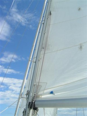 Revlinor (Small).jpg