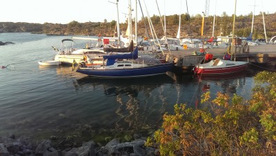 IMAG0881.jpg