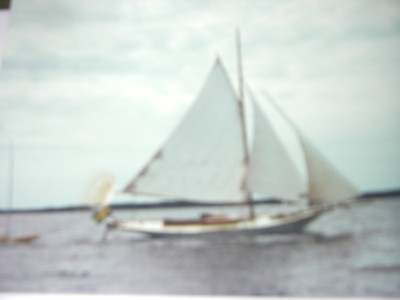 Hild-1899.jpg
