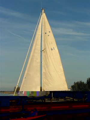 axmar 007 (Medium).jpg