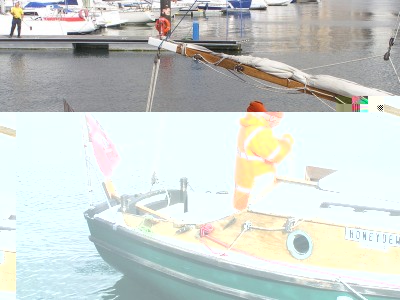 219.jpg